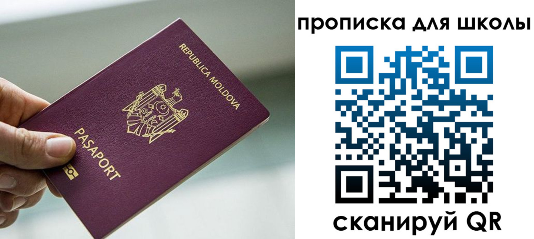 прописка в квартире в Тольятти
